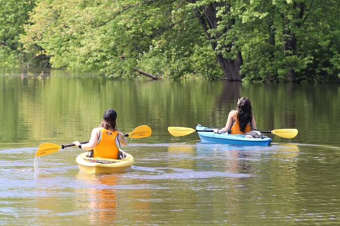 Ottawa: Ecological Reserve Kayak Tour with Turtle Sightings - What makes this outing worth your time