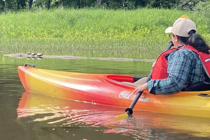 Ottawa: Ecological Reserve Kayak Tour with Turtle Sightings - Learning the reserve’s story