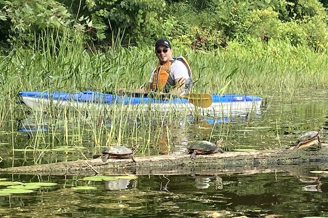 Ottawa: Ecological Reserve Kayak Tour with Turtle Sightings - How the timing works for a city visit