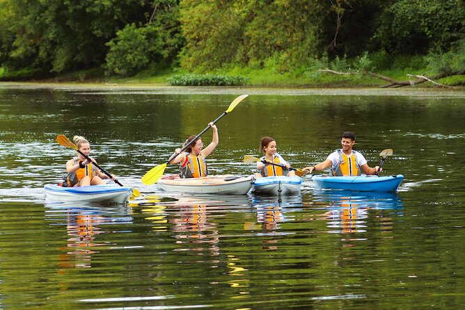 Ottawa: Ecological Reserve Kayak Tour with Turtle Sightings - Paddling through Grandmaître Ecological Reserve