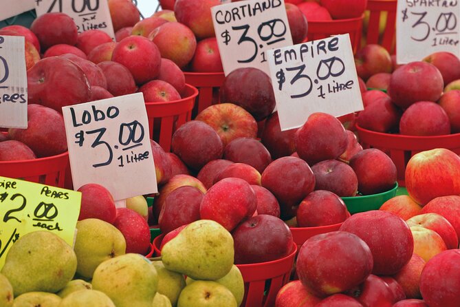 Ottawa Food Tour with ByWard Market Flavors & 6 Local Tastings - Walking, weather, and planning details