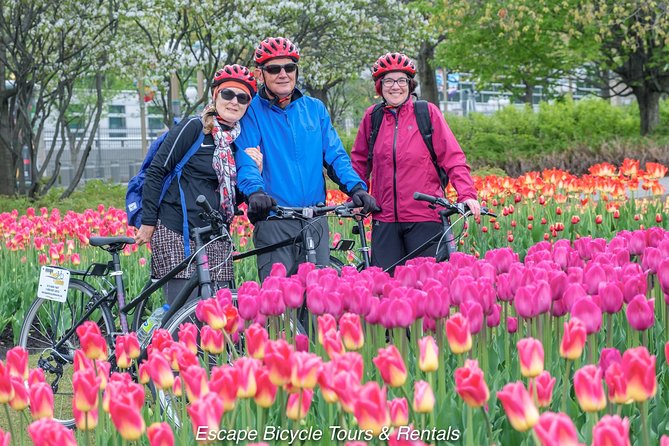 Ottawa Highlights 3.5 Hour Bike Tour - Crossing to Quebec for Ottawa’s best broad view