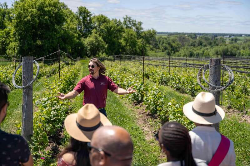 Ottawa: Local Wine and Cider Tour - Farm Gate Cider brings the day down to earth