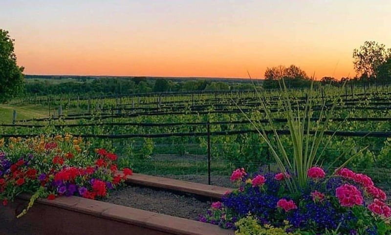 Ottawa: Local Wine and Cider Tour - What the food means for the $130 price