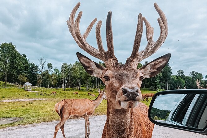 Ottawa Parc Omega Private Tour with Hotel Transfer - What the $253.67 Price Really Covers