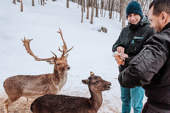 Ottawa Parc Omega Private Tour with Hotel Transfer - The Lunch Question and What to Pack