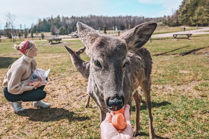 Ottawa Parc Omega Private Tour with Hotel Transfer - Who Will Get the Most From This Tour