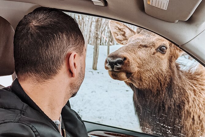 Ottawa Parc Omega Private Tour with Hotel Transfer - Timing, Pickup, and Weather Details