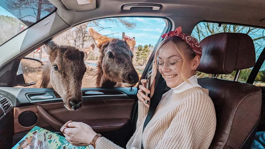 Ottawa: Private Parc Omega Wildlife Safari – Winter Magic - FAQ