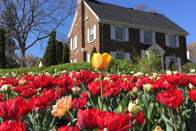 Ottawa Spring Tulip Festival Bike Tour - Finishing at the Bytown Museum and canal locks