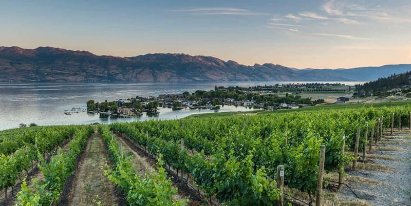 Penticton: Naramata Bench Full Day Guided Wine Tour - Bench 1775: Lake Views and an Afternoon Reset
