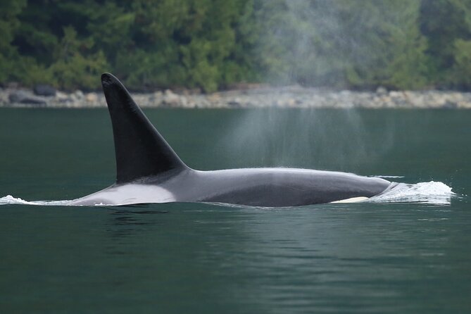 People Water Land- Indigenous Cultural and Wildlife Tour - A closer look at the guides and captains