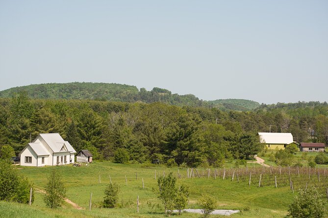 Petite Nation Wine & Cider Tour - Day Trip From Ottawa & Gatineau - Why this Petite Nation day trip works well
