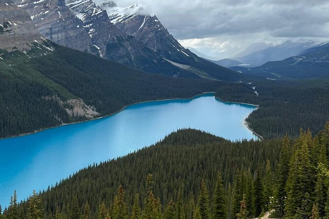 Peyto Lake, Bow Lake Lake Louise Moraine Lake Half Day Tour - What the $51.70 price really buys
