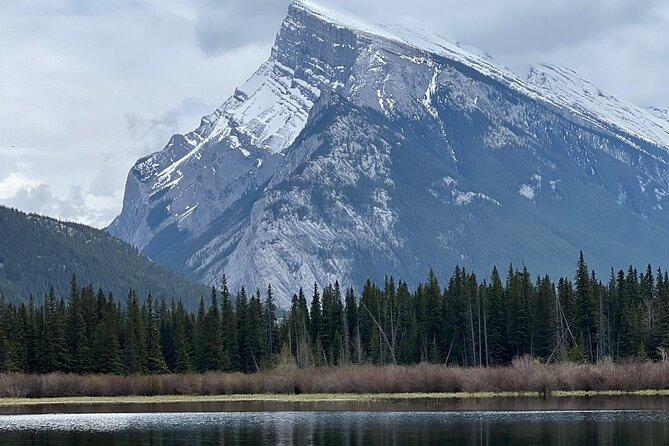 Peyto Lake, Bow Lake Lake Louise Moraine Lake Half Day Tour - Should you book Banff Journey’s lake tour?