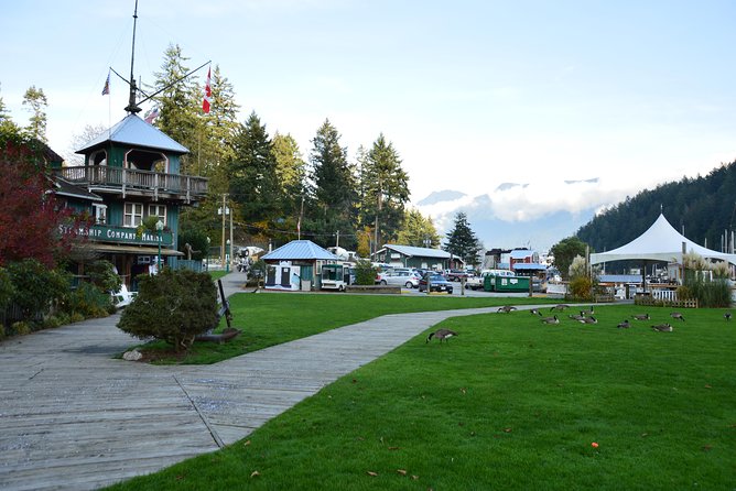 Photography, Hiking & Ferry to Bowen Island - Photography instruction for cameras and phones