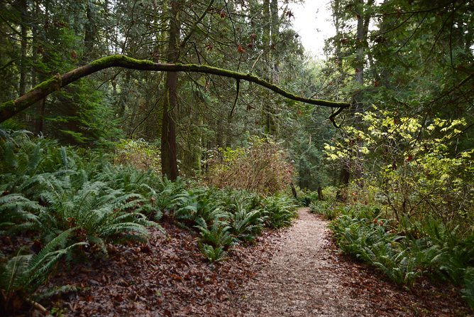 Photography, Hiking & Ferry to Bowen Island - Returning through the Visitor Centre