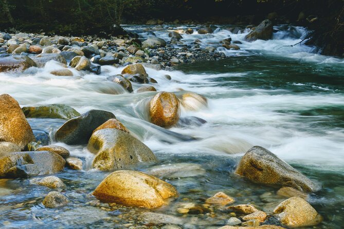 Photography in Rainforest & Suspension Bridge - Rain, stairs, and the right clothes