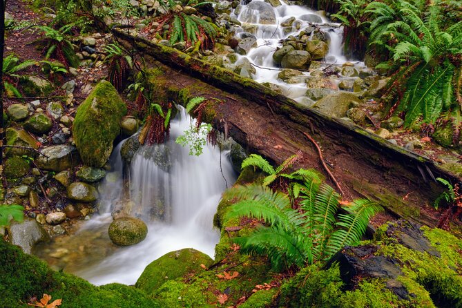 Photography & Intermediate Hiking - Walking the Quarry Rock trail