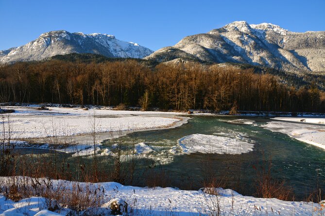 Photography & Sightseeing in Whistler & Squamish - Shannon Falls: a 20-minute waterfall stop