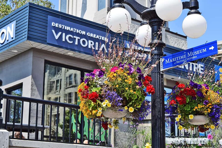 Pickle Pub Crawl: Ferry Rides and Appetizers - Chinatown: finishing among historic downtown streets