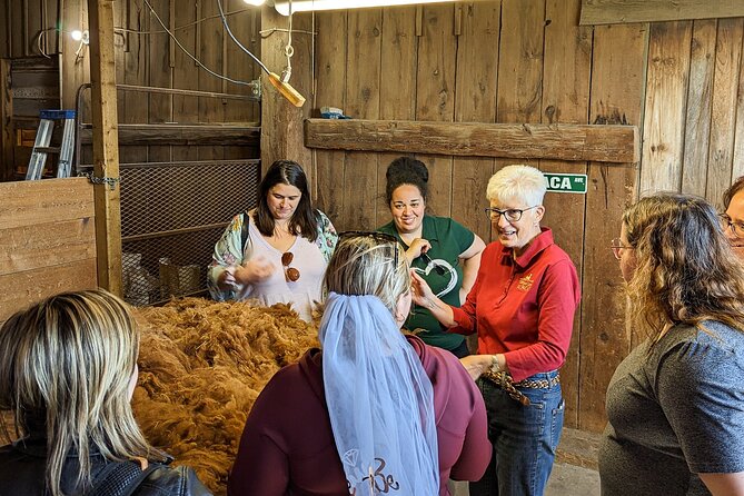 Pontiac Farm Tour - Day Trip From Ottawa & Gatineau - Les Alpagas de Willow Lane and the day’s sweetest stop