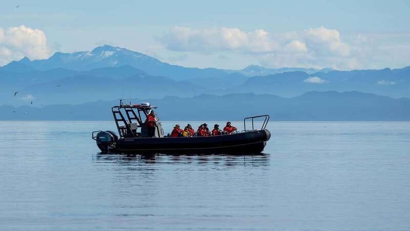 Port Hardy: Sea Otter and Whale Watching - Why the Suspension Seats Matter
