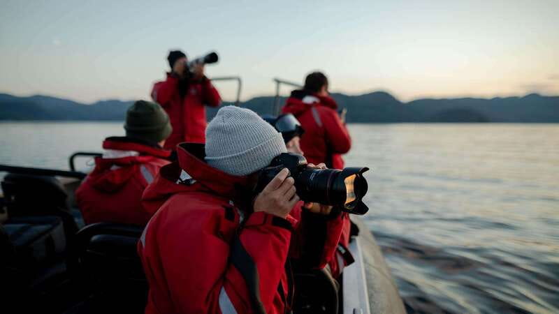 Port Hardy: Sea Otter and Whale Watching - Who Should Book This Port Hardy Trip?