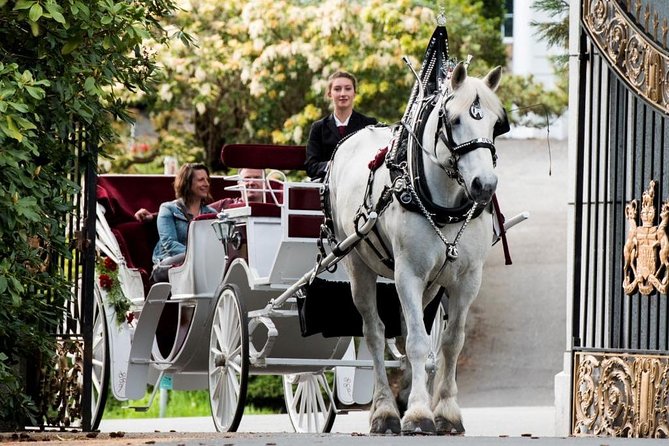 Premier Horse-Drawn Carriage Experience in Victoria - Key points to know before booking