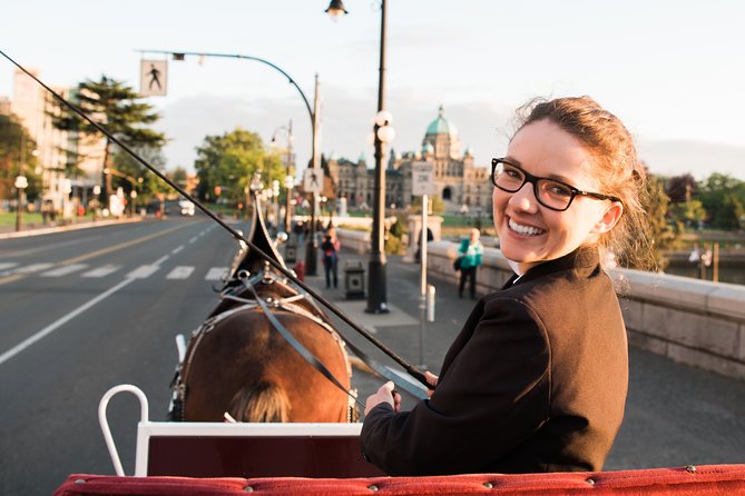 Premier Horse-Drawn Carriage Experience in Victoria - Blankets, roof, and weather planning