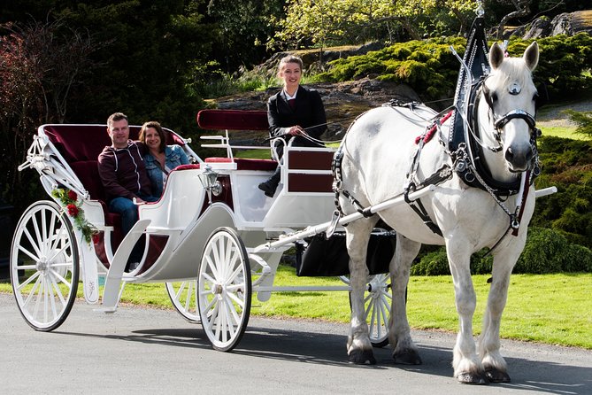 Premier Horse-Drawn Carriage Experience in Victoria - How many people should share one carriage?