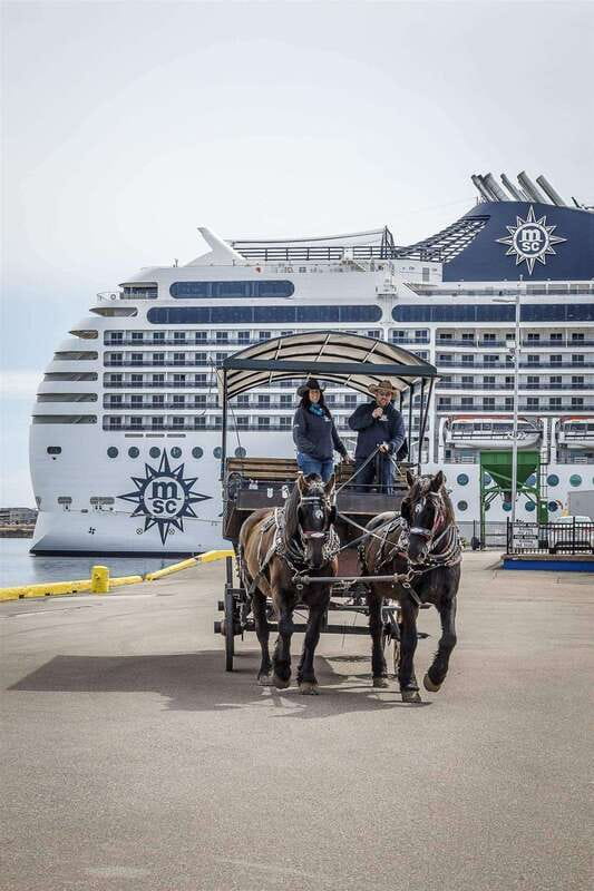Prince Edward Island: Horse-Drawn Carriage Tour - Why a Carriage Ride Works Well in Charlottetown