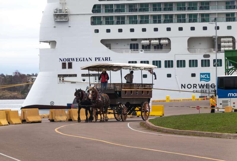 Prince Edward Island: Horse-Drawn Carriage Tour - Rolling Through Historic Downtown Charlottetown