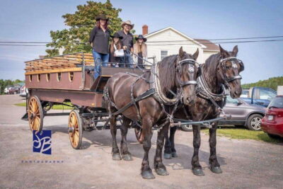 Prince Edward Island: Horse-Drawn Carriage Tour