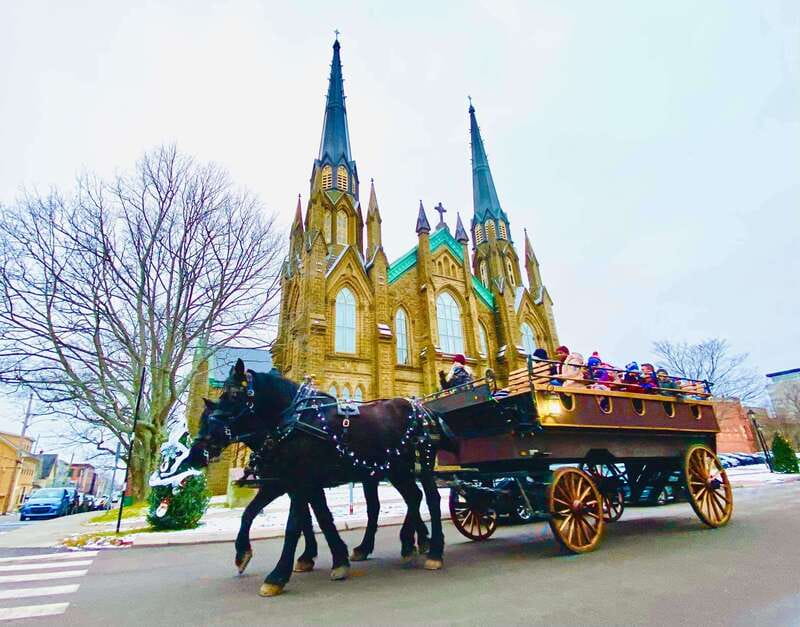 Prince Edward Island: Horse-Drawn Carriage Tour - Stories, Humor, and Local Perspective