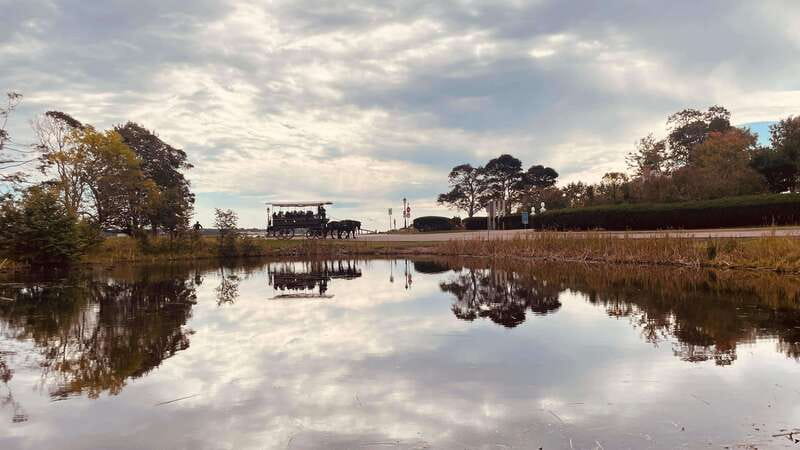 Prince Edward Island: Horse-Drawn Carriage Tour - What the 40 Minutes Really Gives You
