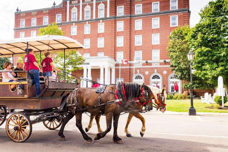 Prince Edward Island: Horse-Drawn Carriage Tour - Is $23 Per Person Good Value?