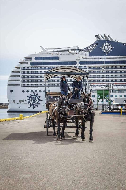Prince Edward Island: Horse-Drawn Carriage Tour - Weather, Comfort, and Practical Details