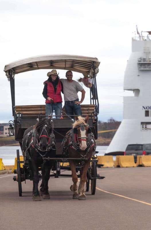 Prince Edward Island: Horse-Drawn Carriage Tour - Best for Couples, Families, and First-Time Visitors