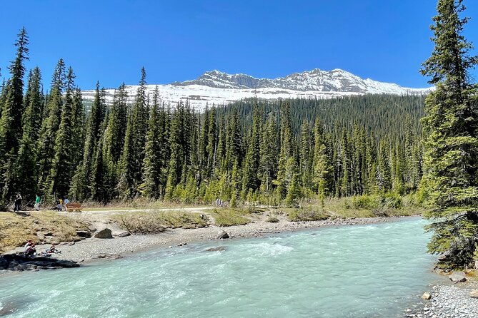 Private Banff and Yoho National Park Tour with Moraine Lake - Emerald Lake: color created by glacier flour