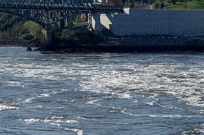 Private Bay of Fundy & City sightseeing (Saint John, NB) - Reversing Falls: watch the river change direction