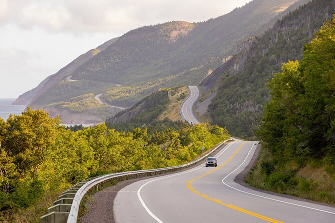Private Cruise Excursion in Cape Breton - Why a private Cabot Trail day makes sense from Sydney