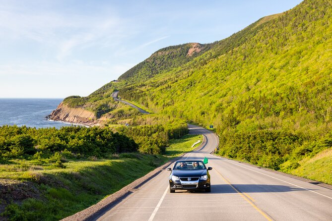 Private Cruise Excursion in Cape Breton - Vehicle comfort, accessibility, and food