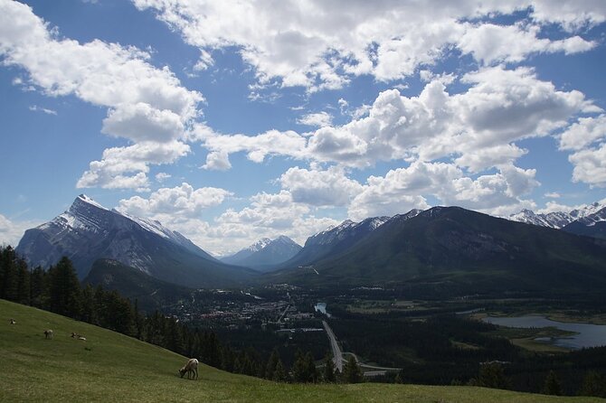 Private Customizable Banff Tour Lake Louise-Moraine 6 More Sights - Crowfoot Glacier is brief but worth the roadside stop