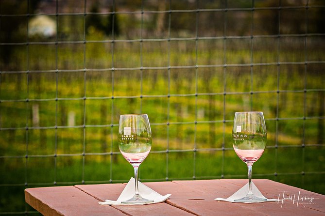 Private Customizable Niagara Day Trip/Wine Tour from Toronto - Costs, rules, and practical preparation