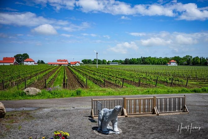 Private Customizable Wine-Tasting Adventure/Day Tour Niagara - Tasting fees, lunch, and the real daily cost