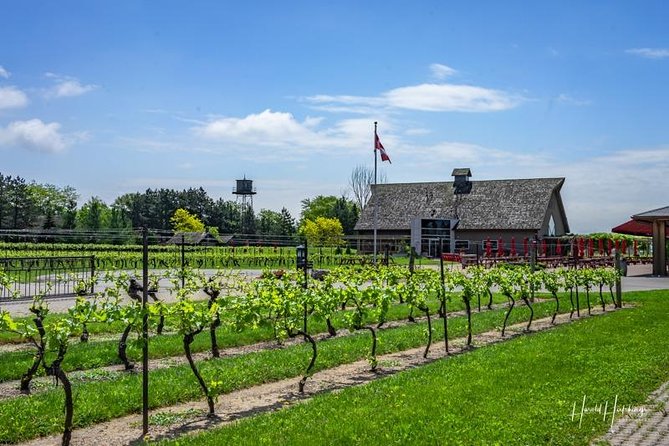 Private Customizable Wine-Tasting Adventure/Day Tour Niagara - What the guide adds to the day