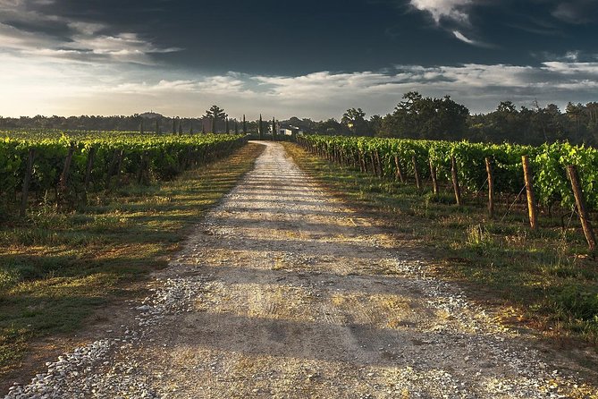Private Customizable Wine-Tasting Adventure/Day Tour Niagara - Who will enjoy this tour most