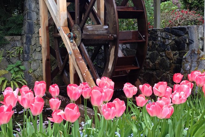 Private Deluxe Tour of Victoria & to Butchart Gardens (5 hrs) - Why the private format works well in Victoria