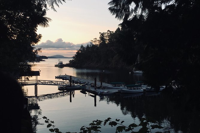 Private Deluxe Tour of Victoria & to Butchart Gardens (5 hrs) - A quick look at Fan Tan Alley